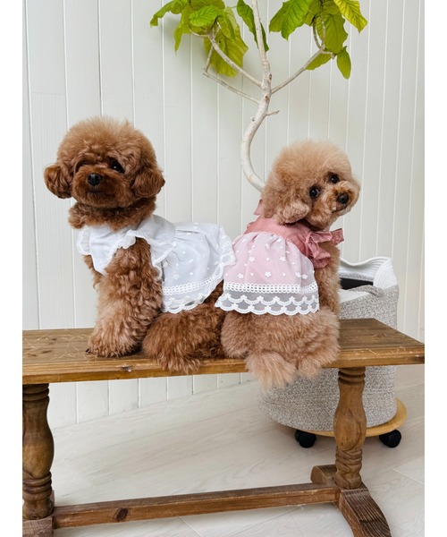 yukiemon犬図鑑長袖ワンピース ベージュ 新品】yukiemon こねこ図鑑 ワンピース 3L - メルカリ