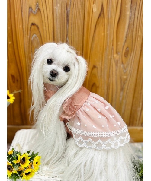 sono　ハンドメイド犬服　ワンピース パピー・超小型犬用】ONE OCTAVE（ワンオクターヴ）マリン