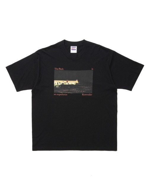 ROTTWEILER ロットワイラー Tシャツ（ROTTWEILER ロットワイラー