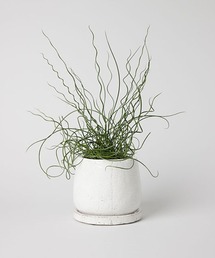 DULTON(_g)GLAZED POT M / DULTON(t[x[X)