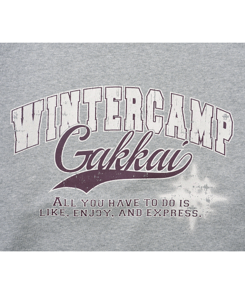 GAKKAI UNIONS(ガッカイユニオンズ)の「ウィンターキャンプ スウェット グレー(スウェット・レディース・その他・SMALL/MEDIUM/LARGE/X-LARGE)」の6枚目の写真