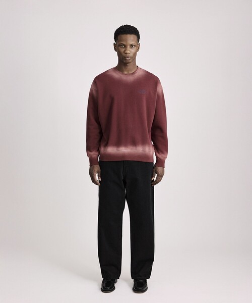 Saturdays NYC（サタデーズ ニューヨークシティ ）の「Ari Relaxed Faded Dye Sweatshirt（スウェット・メンズ・スミクロ/グリーン/ワイン・M/S/L/XL）」の9枚目の写真