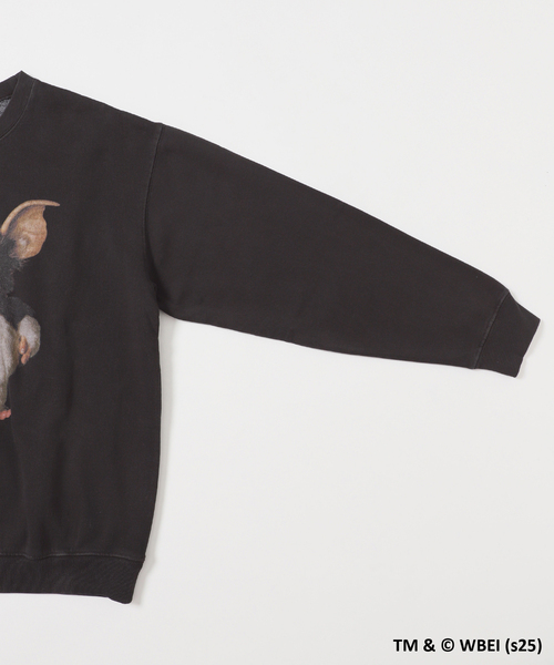 SCREEN STARS(スクリーンスターズ)の「SCREEN STARS "GREMLiNS" PIGMENT CREW(スウェット・メンズ・ブラック・MEDIUM/LARGE)」の5枚目の写真