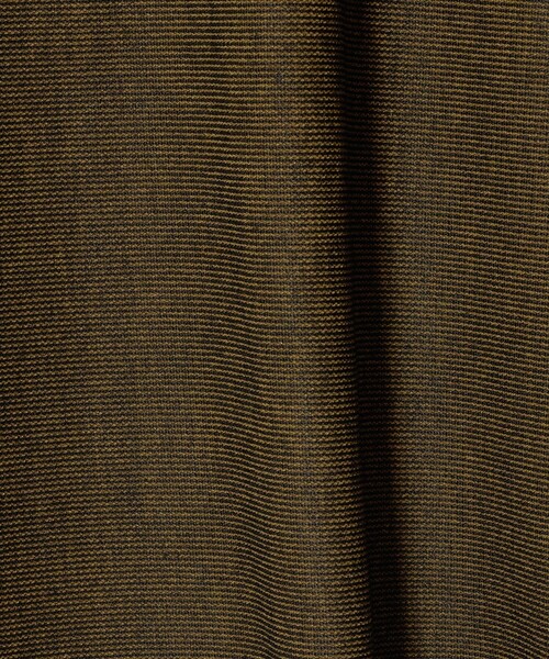 A DAY IN THE LIFE UNITED ARROWS（アデイインザライフユナイテッドアローズ）の「リバーシブルTシャツ ＜A DAY IN THE LIFE＞（Tシャツ/カットソー・レディース・ライトブルー/ネイビー/ブラウン系・FREE）」の12枚目の写真