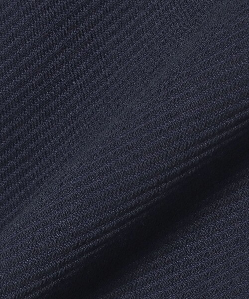 BEAMS GOLF(ビームスゴルフ)の「〈MEN〉ORANGE LABEL / ツイル ダブルジャカード ポロシャツ(ポロシャツ・メンズ・ネイビー/ホワイト・S/M/L/XL)」の12枚目の写真