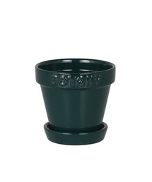DULTON(_g)BOTANY POT 3/3 Aؔ(t[x[X)