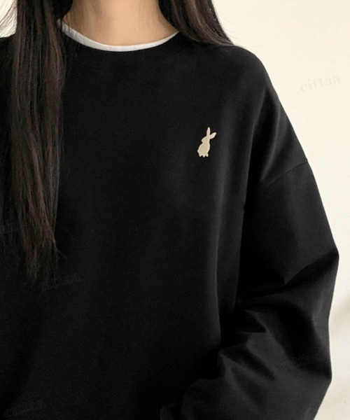 Dalfwin（ダールフィン）の「韓国ファッションラビット刺繍ドルマンスリーブスウェットパーカー（スウェット・レディース・ブラック/グレー系その他/グレー/ベージュ/グレー系その他3/ベージュ系3/ブラック系3/グレー系3/グレー系2/ブラック系2/グレー系その他2/ベージュ系2・FREE/フリー）」の3枚目の写真