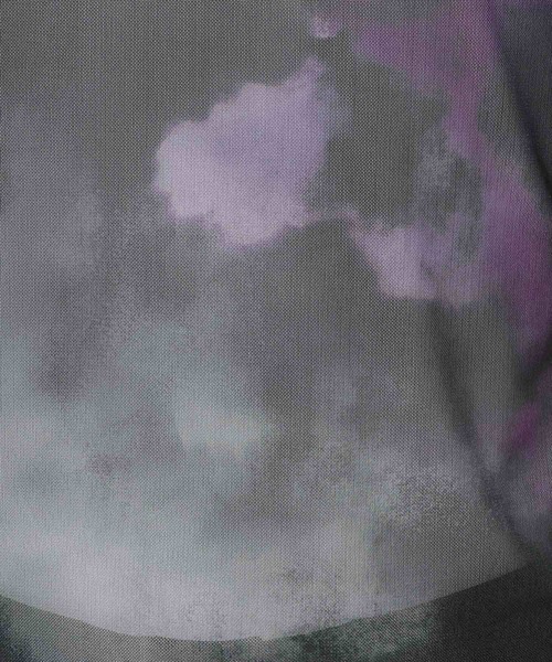 HARE（ハレ）の「シアーアソートガラカット(HARE)（Tシャツ/カットソー・メンズ・グレー/ブルー/ブラック・FREE）」の22枚目の写真