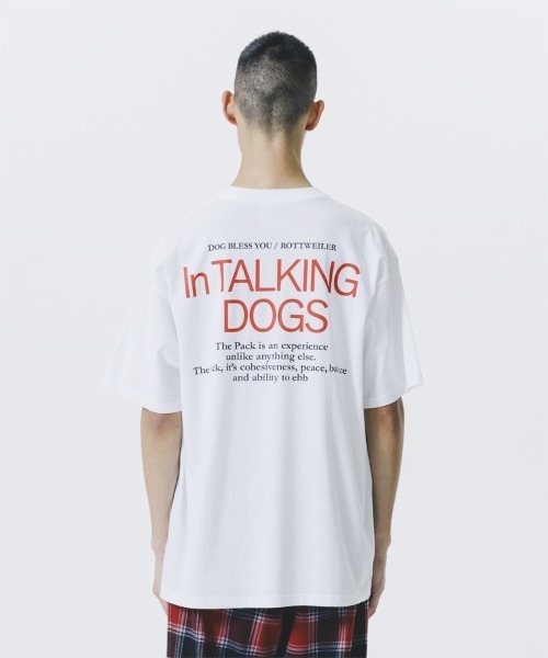 ROTTWEILER（ロットワイラー）の「【ROTTWEILER / ロットワイラー】CAL NIGHT PHOTO TEE / ホワイト [RW25S0637]（Tシャツ/カットソー・メンズ・ホワイト・M/L）」の7枚目の写真