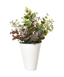 BACKYARD FAMILY（バックヤードファミリー）の「光触媒 インテリアグリーン KUポット（インテリア雑貨）」