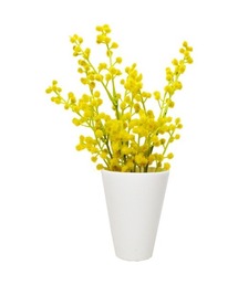 BACKYARD FAMILY（バックヤードファミリー）の「光触媒 インテリアグリーン KUポット（インテリア雑貨）」