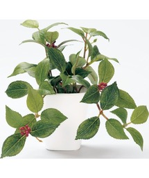 BACKYARD FAMILY（バックヤードファミリー）の「光触媒 インテリアグリーン KUポット（インテリア雑貨）」