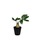 ̑ZNgi\m^ZNgj́uG} CeAO[ KU|bgiCeAG݁jvb̑7