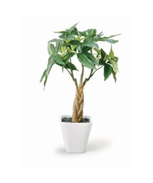 BACKYARD FAMILY（バックヤードファミリー）の「光触媒 インテリアグリーン KUポット（インテリア雑貨）」