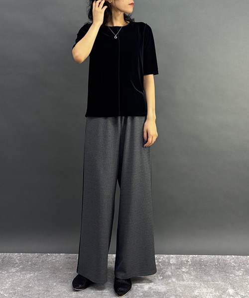 NICOLE white（ニコルホワイト）の「シアーベロアTシャツ（Tシャツ/カットソー・レディース・ブラウン/ブルー/ブラック・FREE）」の4枚目の写真