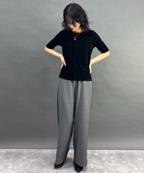 NICOLE white（ニコルホワイト）の「シアーベロアTシャツ（Tシャツ/カットソー・レディース・ブラウン/ブルー/ブラック・FREE）」の5枚目の写真