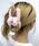 WEGO�i�E�B�S�[�j�́uWEGO/�J���[�t�@�[�o���X�i�o���b�^/�w�A�N���b�v�j�v�b���C�g�s���N