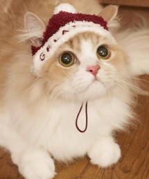 gelato pique(WF[gsP)́yHOLIDAYzyCAT&DOGzxrRT^jbgLbv(ybgEFA)