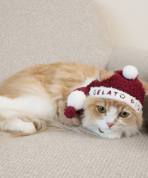 HOLIDAY】【CAT&DOG】ベビモコサンタニットキャップ（ペットウェア