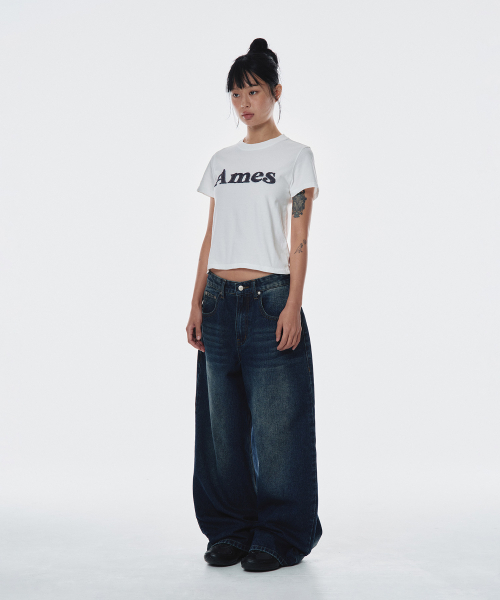 AMESWORLDWIDE(アメスワールドワイド)の「BASIC LOGO DENIM APPLIQUE TEE WHITE (AM2EMUT514A)(Tシャツ/カットソー・レディース・その他・FREE)」の3枚目の写真