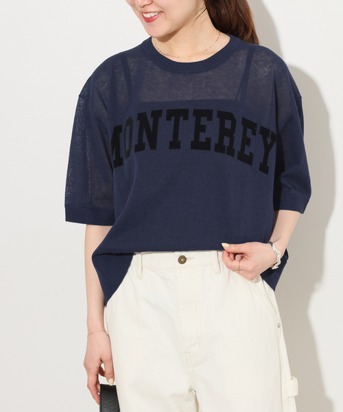 JOURNAL STANDARD relume（ジャーナルスタンダード　レリューム）の「シアーロゴハーフスリーブプルオーバー（ニット/セーター・レディース・ネイビー/ベージュ・FREE）」の2枚目の写真