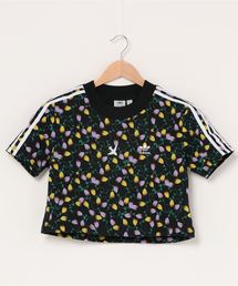 adidas Originals/アディダス オリジナルス CROPPED AOP TEE/クロップド AOP　Tシャツ