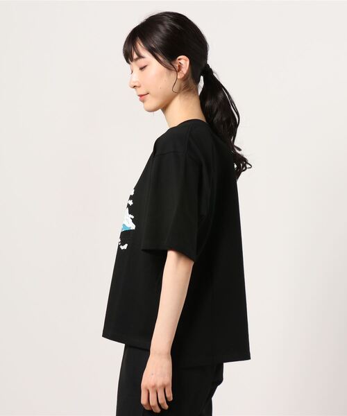 MANASTASH（マナスタッシュ）の「MANASTASH/マナスタッシュ　Ws BENLAMB HIKING TEE ベンラムハイキングティー（Tシャツ/カットソー・レディース・ホワイト/ブラック・MEDIUM）」の3枚目の写真