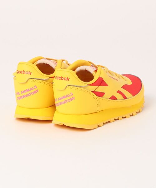 The animals observatory（ジ・アニマルズ・オブザーバトリー）の「The animals observatory / The animals observatory /  Reebok コラボスニーカー＜13-16cm＞（スニーカー・キッズ・イエロー・15 ）」の7枚目の写真