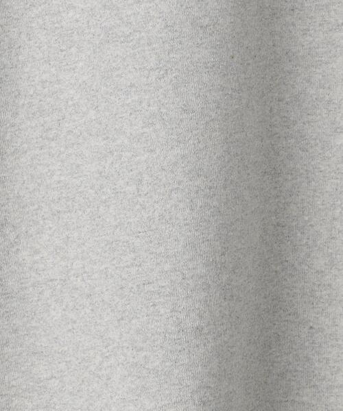 PARKS PROJECT（パークスプロジェクト）の「【別注】＜PARKS PROJECT＞GLR FUJI プリント Tシャツ（Tシャツ/カットソー・メンズ・ライトグレー・L/S/M）」の8枚目の写真