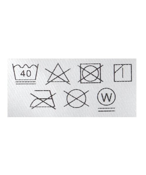 PARKS PROJECT（パークスプロジェクト）の「【別注】＜PARKS PROJECT＞GLR FUJI プリント Tシャツ（Tシャツ/カットソー・メンズ・ライトグレー・L/S/M）」の10枚目の写真