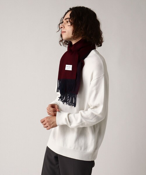 tk.TAKEO KIKUCHI（ティーケータケオキクチ）の「◆【カシミヤ100%】ピュアカシミヤリバーシブルマフラー（マフラー・メンズ・アイボリー/ブラック/ボルドー/ブルー系その他/サックスブルー/ブラウン系その他/ライトパープル・00）」の21枚目の写真