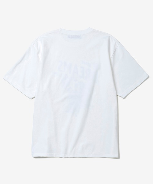 rehacer(レアセル)の「rehacer : Dream Blossom CS / ドリームブロッサム CS / ドリームブロッサム カットソー(Tシャツ/カットソー・メンズ・ベージュ/ホワイト/ブルー・X-LARGE/LARGE/MEDIUM/SMALL)」の11枚目の写真