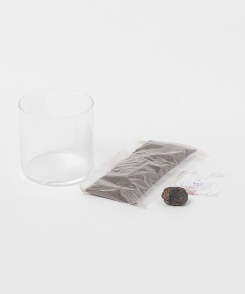 LAKOLE（ラコレ）の「育てるグリーン[水草] / 324941（インテリア雑貨・レディース・その他・FREE）」の14枚目の写真