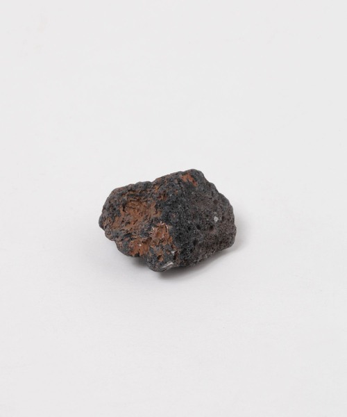 LAKOLE（ラコレ）の「育てるグリーン[水草] / 324941（インテリア雑貨・レディース・その他・FREE）」の2枚目の写真