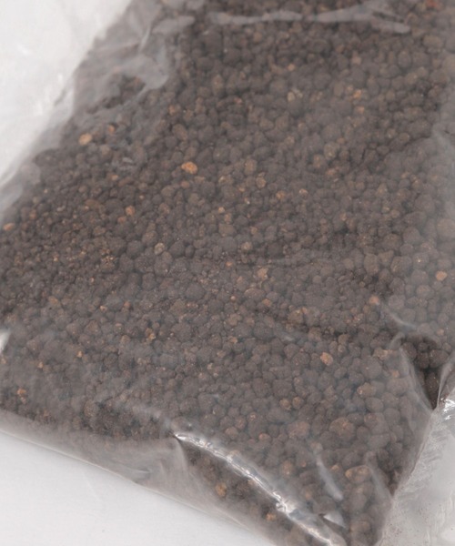 LAKOLE（ラコレ）の「育てるグリーン[水草] / 324941（インテリア雑貨・レディース・その他・FREE）」の5枚目の写真