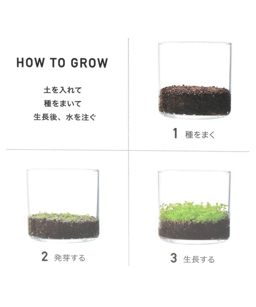 LAKOLE（ラコレ）の「育てるグリーン[水草] / 324941（インテリア雑貨・レディース・その他・FREE）」の6枚目の写真