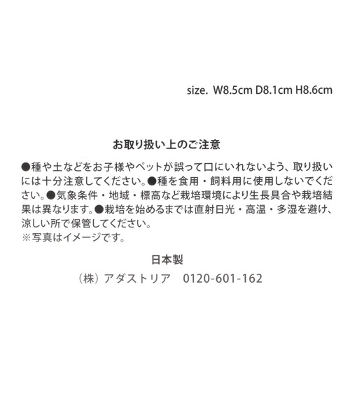 LAKOLE（ラコレ）の「育てるグリーン[水草] / 324941（インテリア雑貨・レディース・その他・FREE）」の7枚目の写真