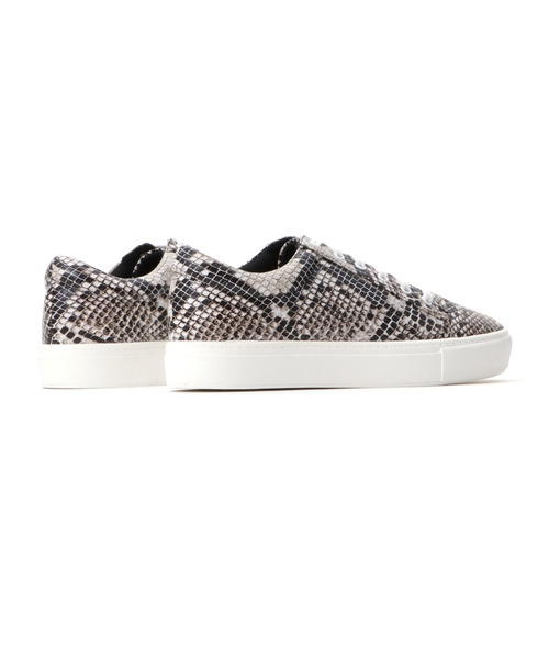 RODE SKO（ロデスコ）の「RODE SKO ADONCIA レースアップスニーカー（スニーカー・レディース・その他1・37/36/38/35）」の5枚目の写真