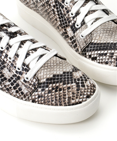 RODE SKO（ロデスコ）の「RODE SKO ADONCIA レースアップスニーカー（スニーカー・レディース・その他1・37/36/38/35）」の7枚目の写真