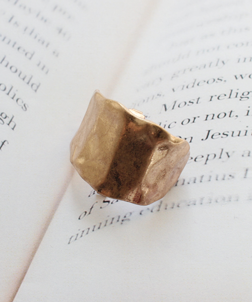 Factor=(�t�@�N�^�[�C�R�[��)�̃v���[�g�|�j�[�t�b�N(���̑��w�A�A�N�Z�T���[)