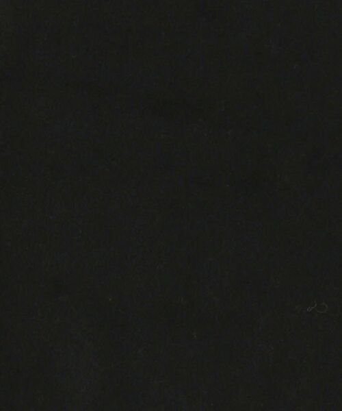 SHIPS（シップス）の「ソリッドカシミヤストール 20FW◇（ストール/ショール・レディース・ブラック/ライトグレー/ベージュ/スカイブルー/ピンク・ONE SIZE）」の13枚目の写真