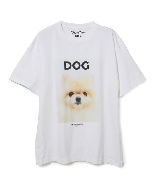 ADAM ET ROPE'（アダムエロペ）の「【DOG MAGAZINE×10C】《Mサイズ》PHOTO T-SHIRTS（Tシャツ/カットソー・レディース・グレー/ホワイト系その他/ブラック系その他/ブラウン系その他/ベージュ系その他/スミクロ/ホワイト系その他2・M）」の2枚目の写真