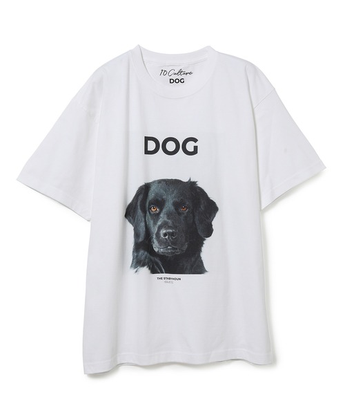 ADAM ET ROPE'（アダムエロペ）の「【DOG MAGAZINE×10C】《Mサイズ》PHOTO T-SHIRTS（Tシャツ/カットソー・レディース・グレー/ホワイト系その他/ブラック系その他/ブラウン系その他/ベージュ系その他/スミクロ/ホワイト系その他2・M）」の4枚目の写真