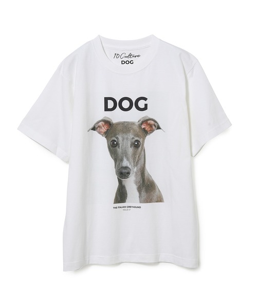 ADAM ET ROPE'（アダムエロペ）の「【DOG MAGAZINE×10C】《Mサイズ》PHOTO T-SHIRTS（Tシャツ/カットソー・レディース・グレー/ホワイト系その他/ブラック系その他/ブラウン系その他/ベージュ系その他/スミクロ/ホワイト系その他2・M）」の6枚目の写真