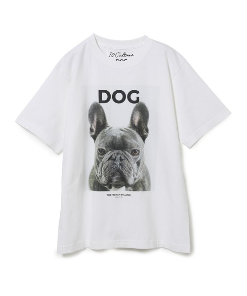 ADAM ET ROPE'（アダムエロペ）の「【DOG MAGAZINE×10C】《Mサイズ》PHOTO T-SHIRTS（Tシャツ/カットソー・レディース・グレー/ホワイト系その他/ブラック系その他/ブラウン系その他/ベージュ系その他/スミクロ/ホワイト系その他2・M）」の5枚目の写真
