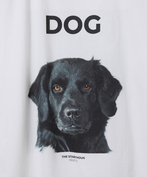 ADAM ET ROPE'（アダムエロペ）の「【DOG MAGAZINE×10C】《Mサイズ》PHOTO T-SHIRTS（Tシャツ/カットソー・レディース・グレー/ホワイト系その他/ブラック系その他/ブラウン系その他/ベージュ系その他/スミクロ/ホワイト系その他2・M）」の14枚目の写真