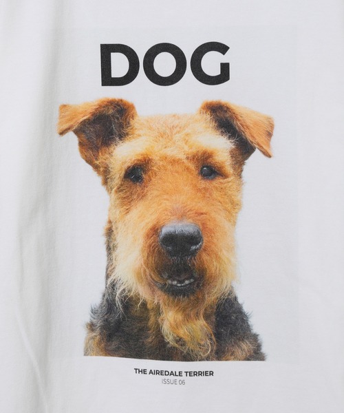 ADAM ET ROPE'（アダムエロペ）の「【DOG MAGAZINE×10C】《Mサイズ》PHOTO T-SHIRTS（Tシャツ/カットソー・レディース・グレー/ホワイト系その他/ブラック系その他/ブラウン系その他/ベージュ系その他/スミクロ/ホワイト系その他2・M）」の11枚目の写真