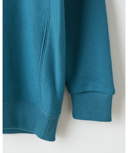 CIAOPANIC TYPY（チャオパニックティピー）の「【Franklin Climbing】KID'ｓロゴスウェット（スウェット・キッズ・チャコールグレー/スカイブルー/グレー/グリーン/ピンク・S/M/L/XL/XXL）」の9枚目の写真