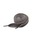 N.HOOLYWOOD COMPILEiN.nEbh RpCj́uSHOE LACEiV[Y/G݁jvb`R[