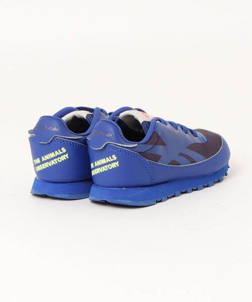 The animals observatory（ジ・アニマルズ・オブザーバトリー）の「The animals observatory / The animals observatory /  Reebok コラボスニーカー＜13-16cm＞（スニーカー・キッズ・ブルー/イエロー・13/16）」の13枚目の写真